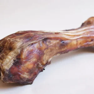calf bone 01