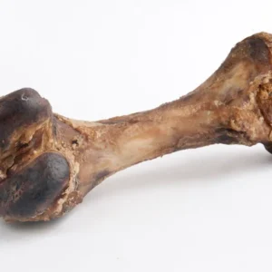 ham bone 01